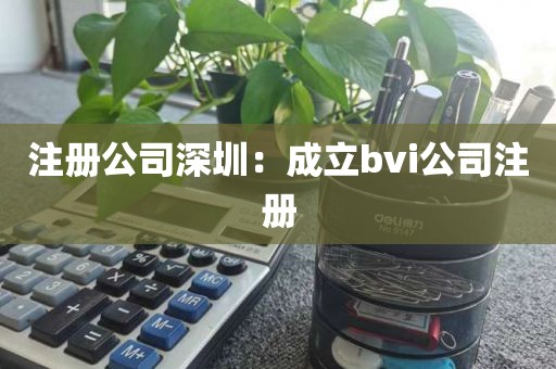 注册公司深圳：成立bvi公司注册