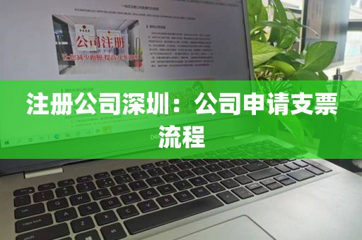 注册公司深圳：公司申请支票流程