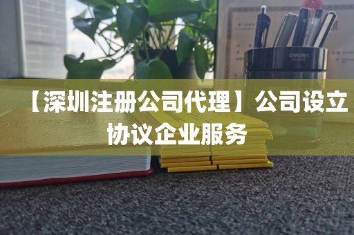 【深圳注册公司代理】公司设立协议企业服务